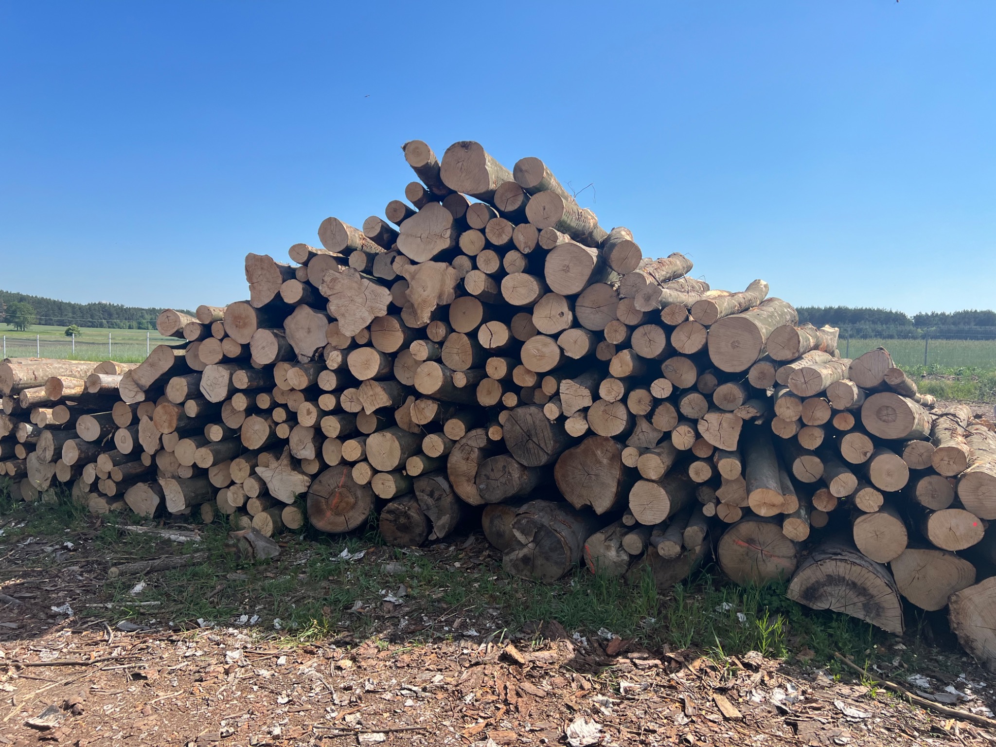 Stos pociętych kłód ułożonych w pryzmę, widoczne słoje drewna, w tle łąka i błękitne niebo.