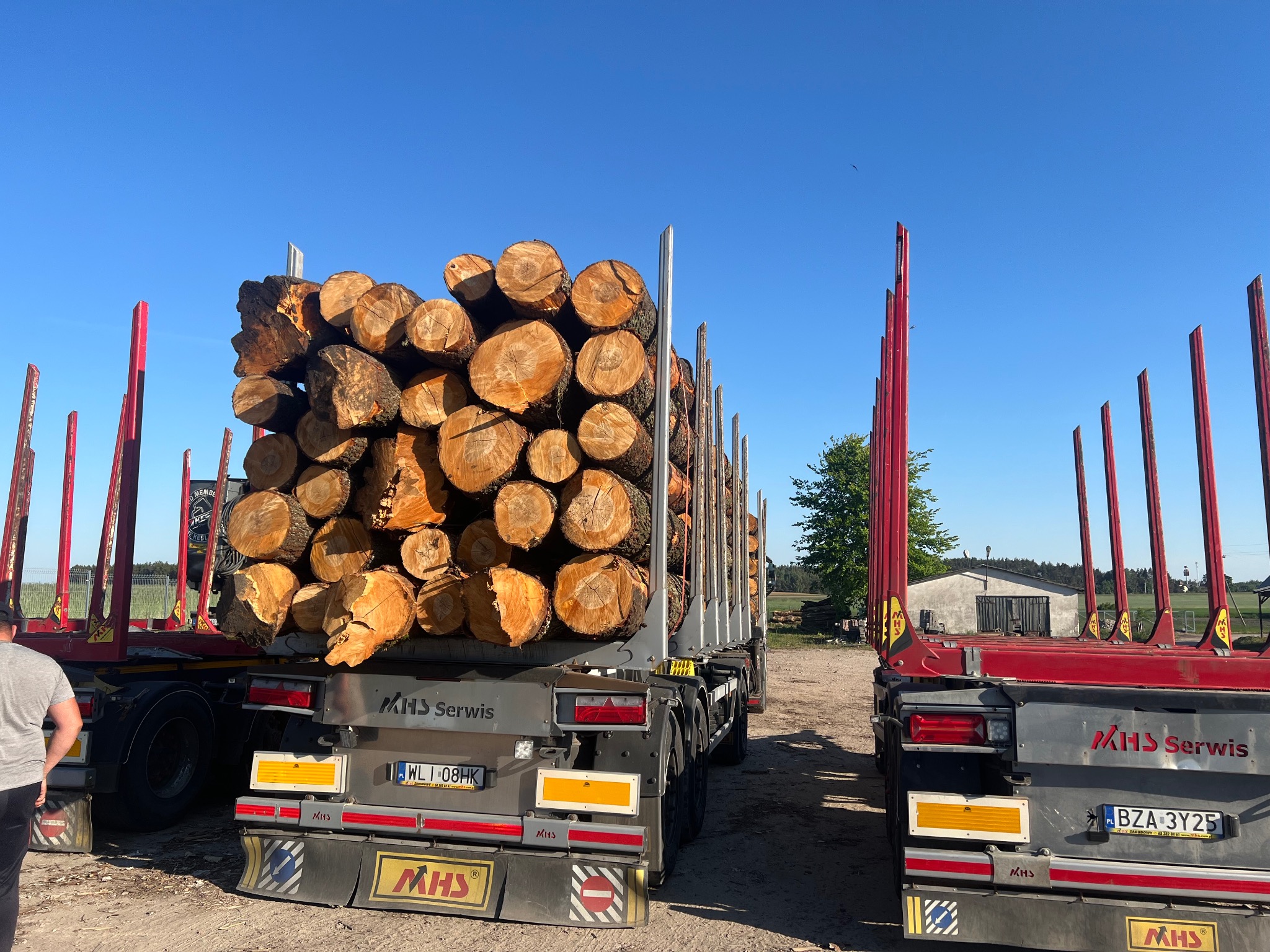 Dwa transporty drewna kominkowego na naczepach z czerwonymi kłonicami, tablice rejestracyjne widoczne, błękitne niebo w tle.