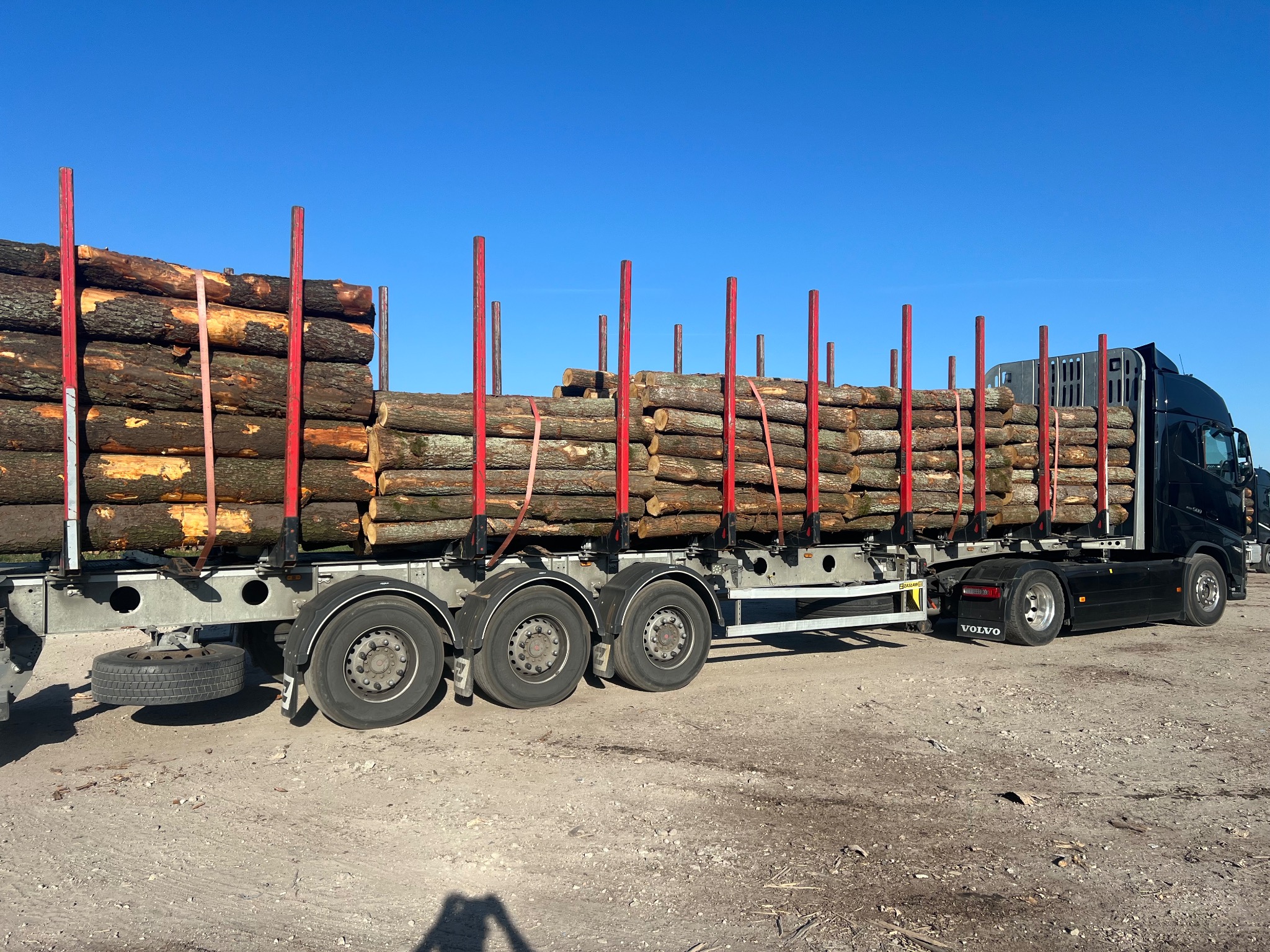Ciężarówka Volvo z naczepą załadowana pociętymi kłodami drewna, zabezpieczonymi czerwonymi słupkami i taśmami, na placu składowym w słoneczny dzień.