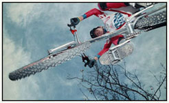 Akrobata na rowerze w powietrzu, widok z dołu, na tle nieba i gałęzi drzew. Rower srebrny, strój sportowy czerwono-biały.