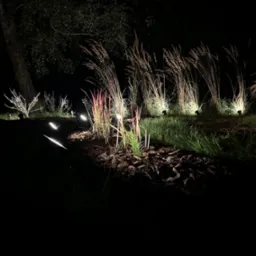 Oświetlenie dekoracyjne ogrodu nocą: niskie lampy punktowe podkreślają trawę ozdobną i korę, tworząc nastrojowy klimat. Widoczne drzewo w tle.