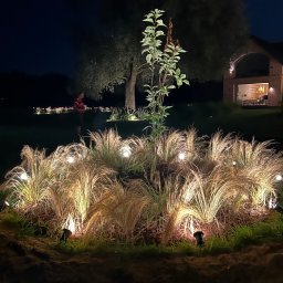 El-Seb Usługi Elektryczne Sebastian Nowicki - Nocny widok na ogród z dekoracyjnym oświetleniem roślin i ścieżek. Lampy punktowe podkreślają trawę ozdobną i drzewo, tworząc ciepłą atmosferę.