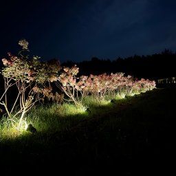 Instalacje elektryczne Lipno 2