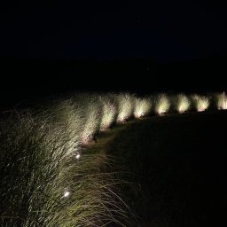 El-Seb Usługi Elektryczne Sebastian Nowicki - Nocne oświetlenie ogrodu z lampami punktowymi, podświetlającymi trawę ozdobną. Ciemne tło, subtelne światło tworzy nastrojowy efekt. Widoczne lampy wzdłuż ścieżki.