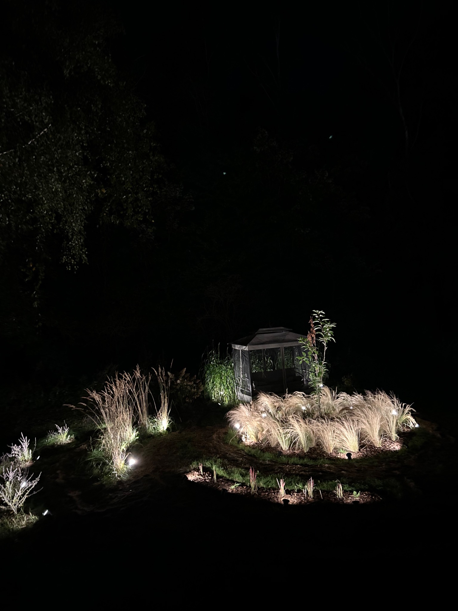 Oświetlony ogród nocą z altaną w tle. Punktowe światła podkreślają roślinność, tworząc nastrojowy klimat. Ciemne tło drzew i nieba. Unikalny układ świateł.