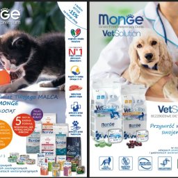 Grafik komputerowy Kostrzyn 1