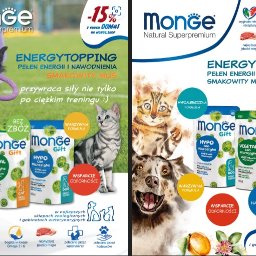 Grafik komputerowy Kostrzyn 2