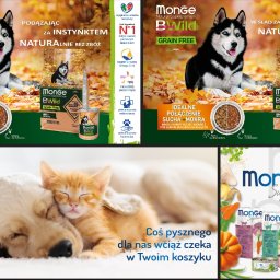 Grafik komputerowy Kostrzyn 3