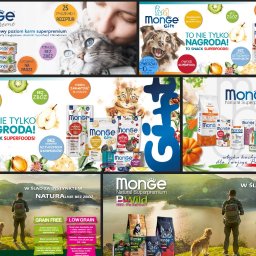 Grafik komputerowy Kostrzyn 4