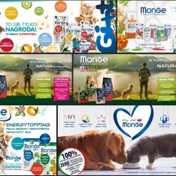 Morilo Creative - Kompozycja reklamowa karmy dla zwierząt Monge, prezentująca różne linie produktów dla psów i kotów, z hasłami o naturalnych składnikach i korzyściach zdrowotnych.