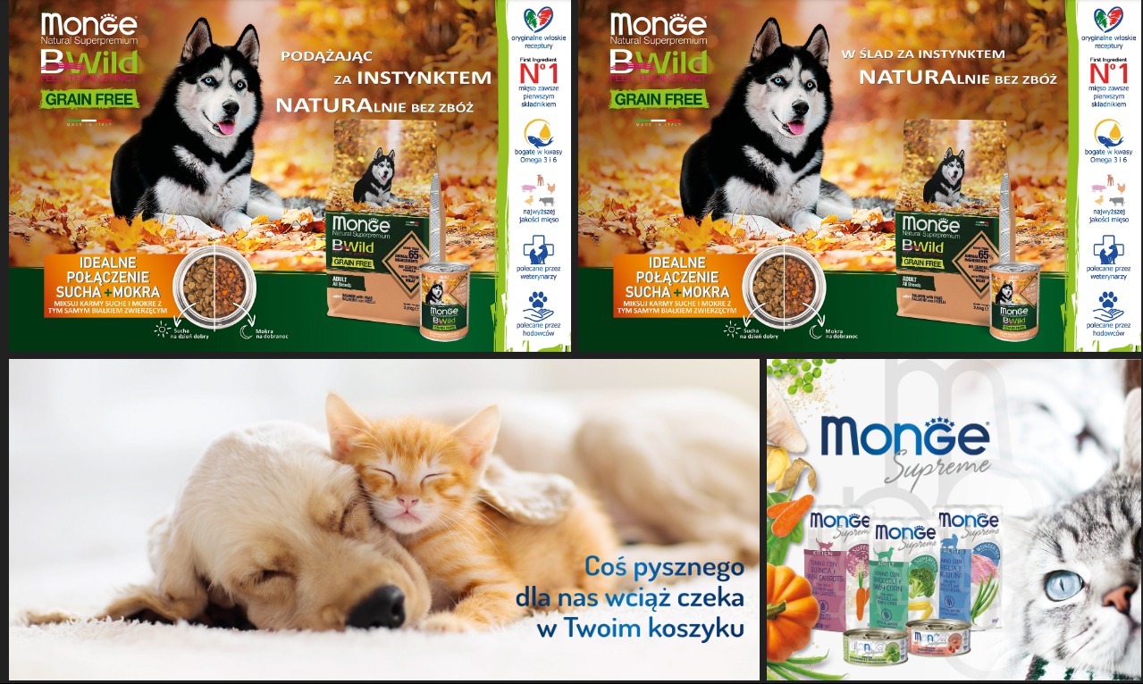 Reklama karmy dla zwierząt Monge z psem rasy Husky i kotem tulącym się do psa rasy Golden Retriever, prezentująca ideę naturalnego odżywiania bez zbóż i idealnego połączenia karmy suchej i mokrej.