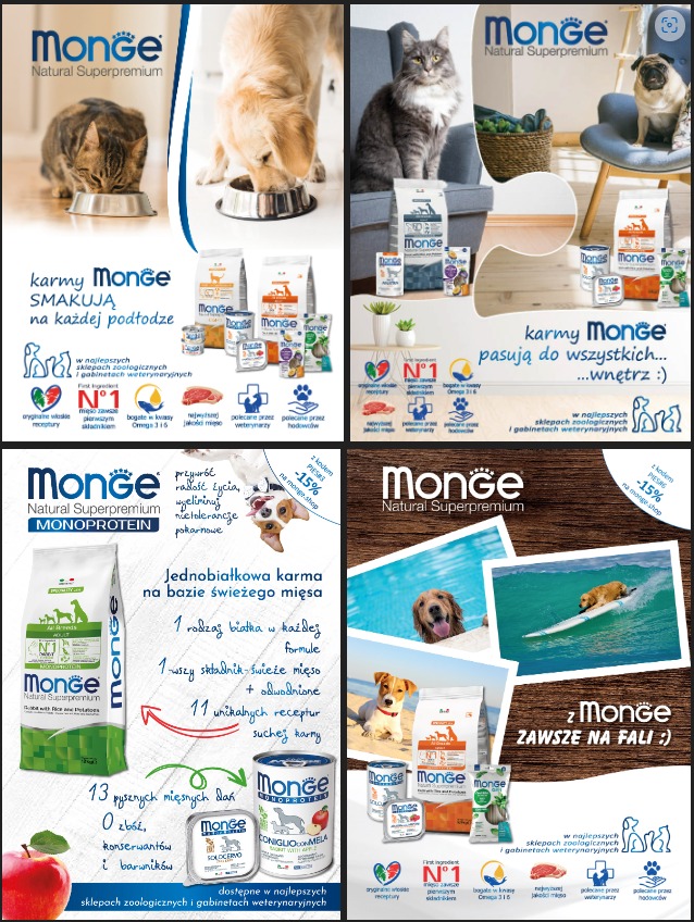 Kompozycja reklamowa karmy dla zwierząt marki Monge, prezentująca różne warianty i smaki, z psami i kotami jako modelami, dostępna w sklepach zoologicznych w Kostrzynie.