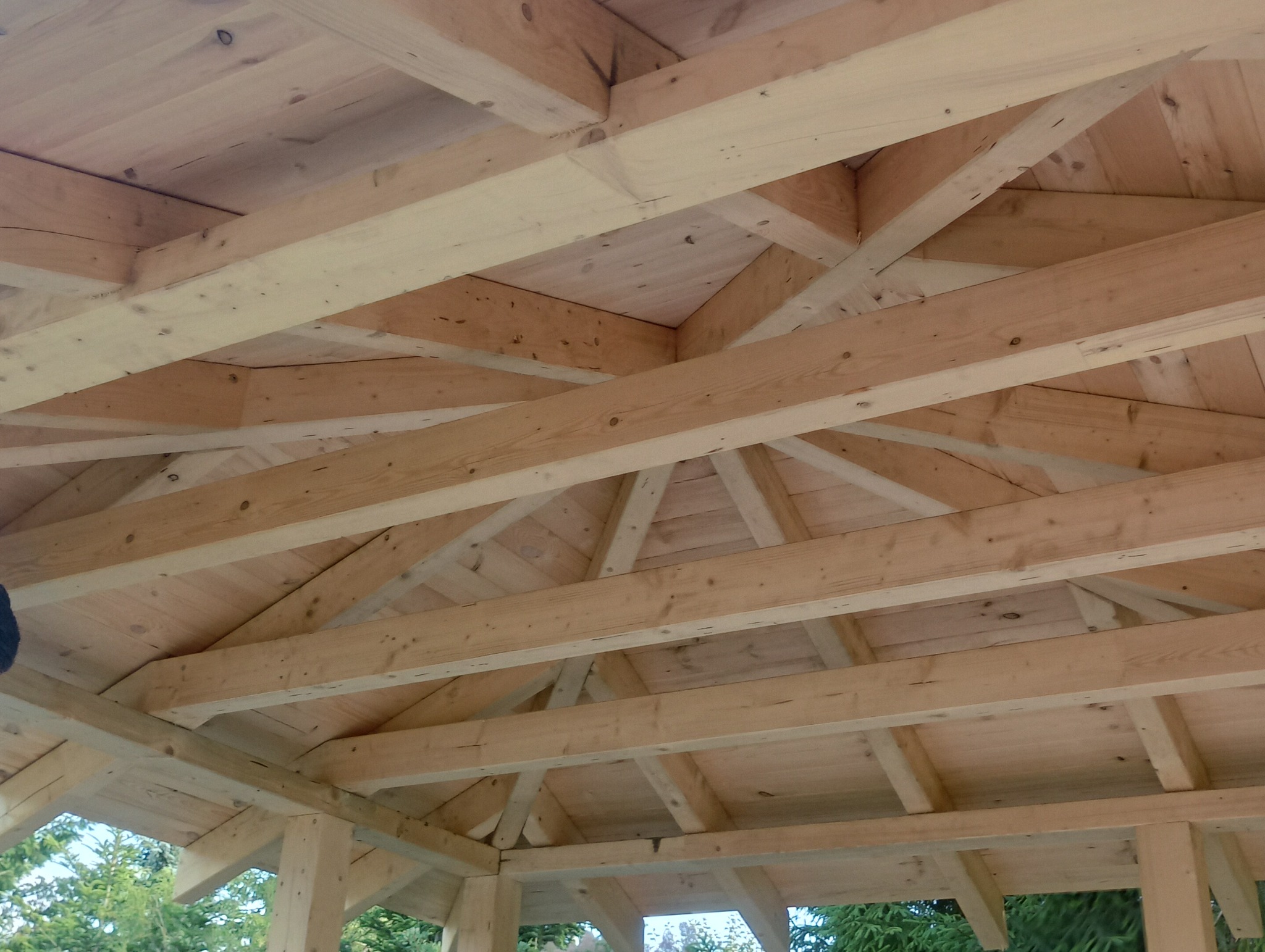 Drewniana konstrukcja z belek, prawdopodobnie zadaszenie altany lub wiaty ogrodowej, widok od dołu, surowe drewno, widoczne połączenia ciesielskie.