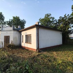 Wycinka drzew Zgierz 2