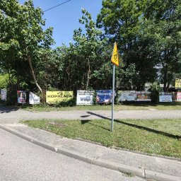 Wycinka drzew Zgierz 1