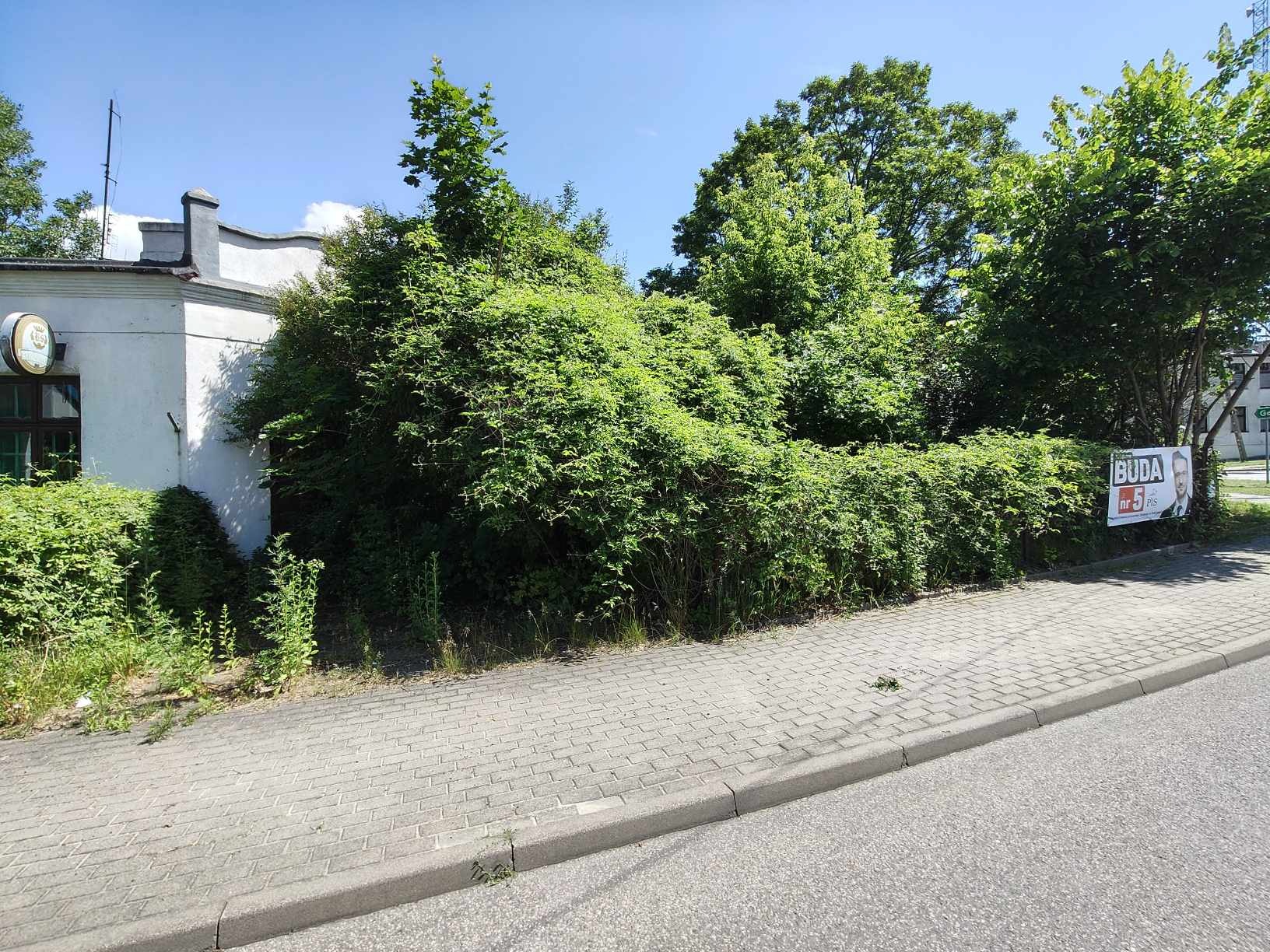 Zarośnięty żywopłot i drzewa przy chodniku, częściowo zasłaniające budynek z jasną elewacją. Widoczny plakat wyborczy z prawej strony.