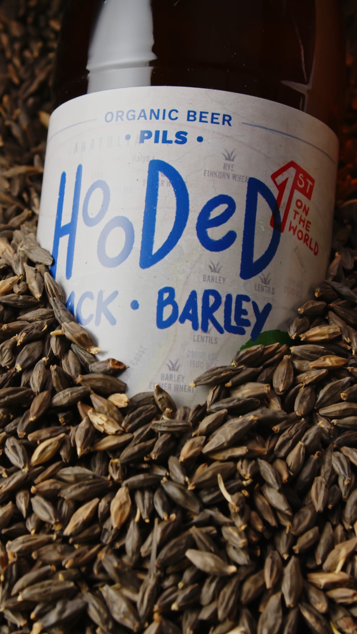 Kadr z reklamy dla marki Alebrowar Lębork