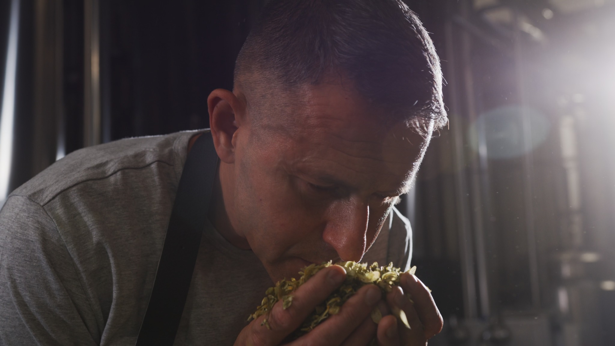 Mężczyzna w Gnieźnie wącha świeży chmiel na tle instalacji browarniczej, oceniając jego aromat przed procesem warzenia.