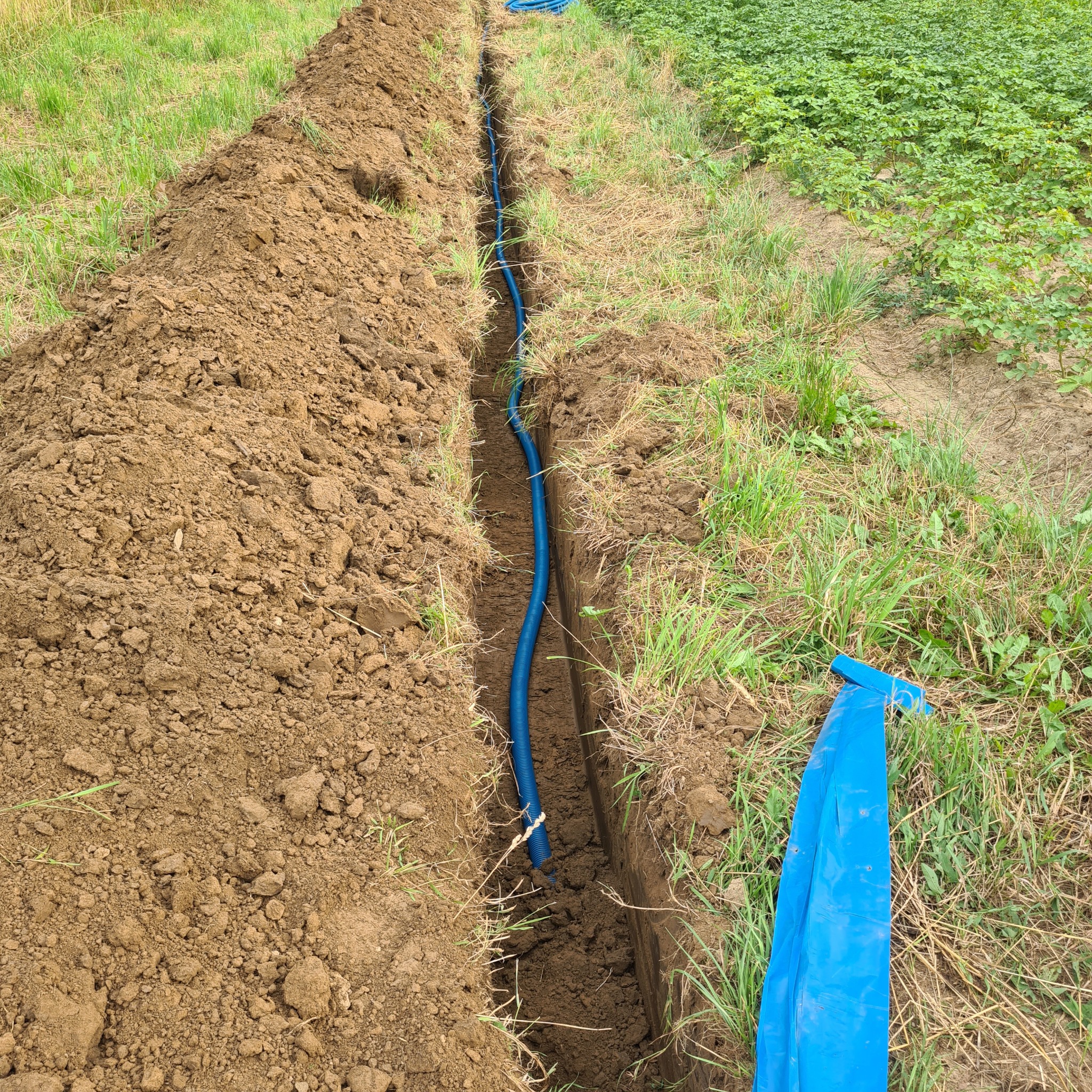 Wykop w ziemi z ułożoną niebieską rurą karbowaną, widoczne zabezpieczenie wykopu niebieską folią, trawa i roślinność polna w tle.