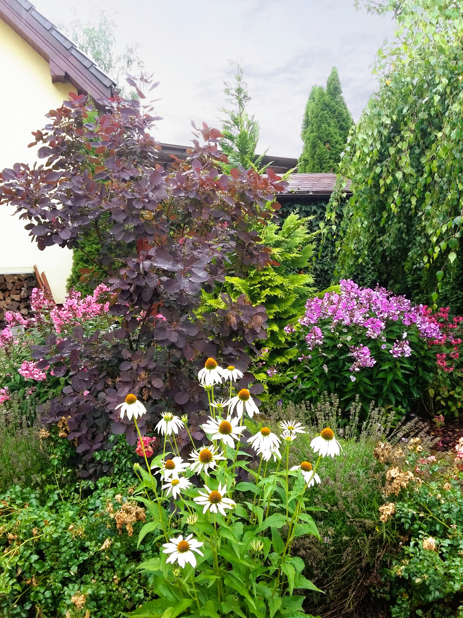 Barwna rabata rośllinna