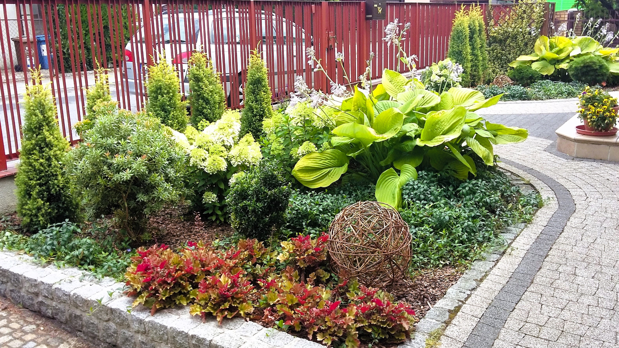 Byliny o kolorowych liściach na rabacie przed domem