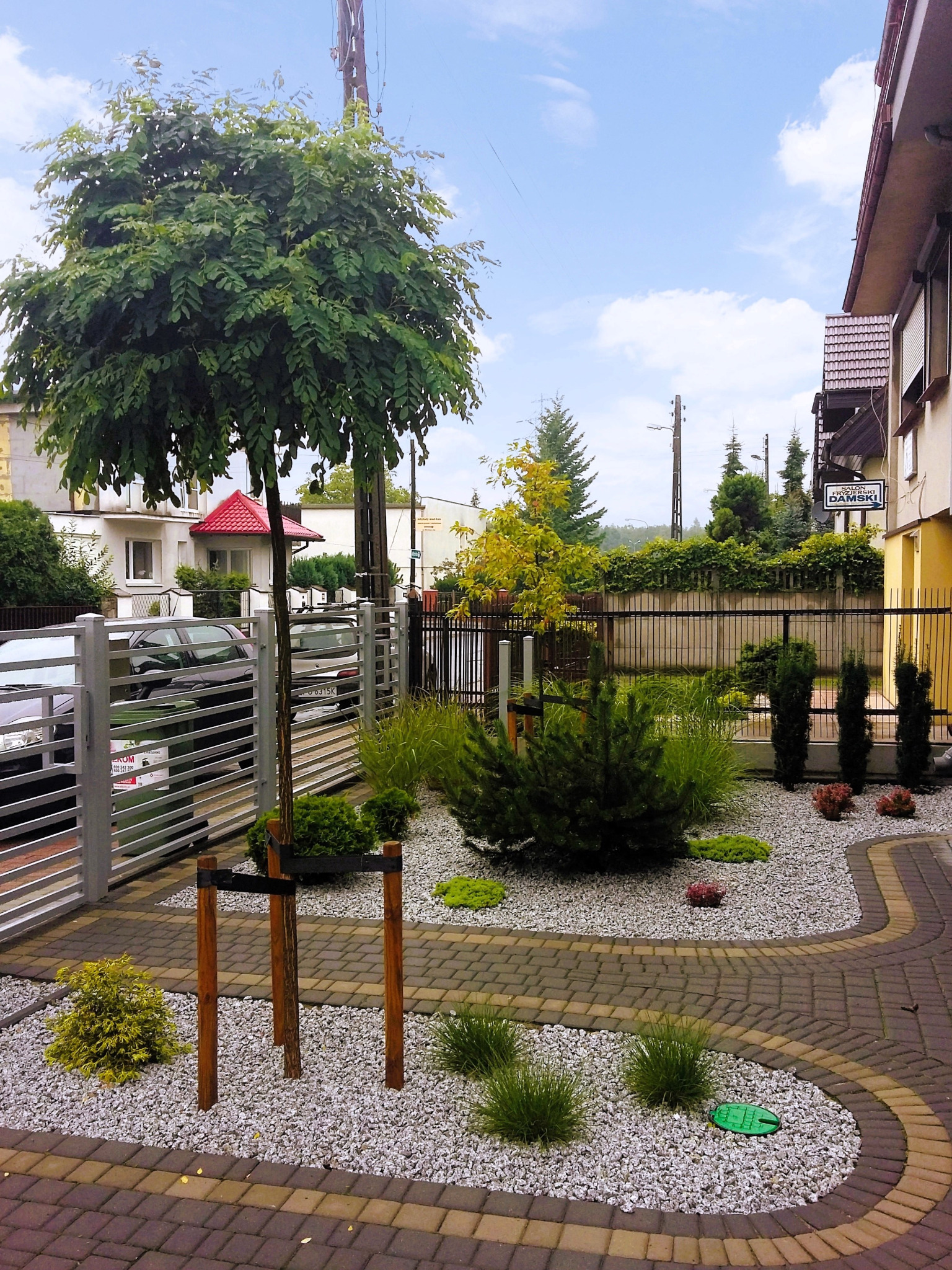 Drzewo z kulistą koroną we frontowej części ogrodu