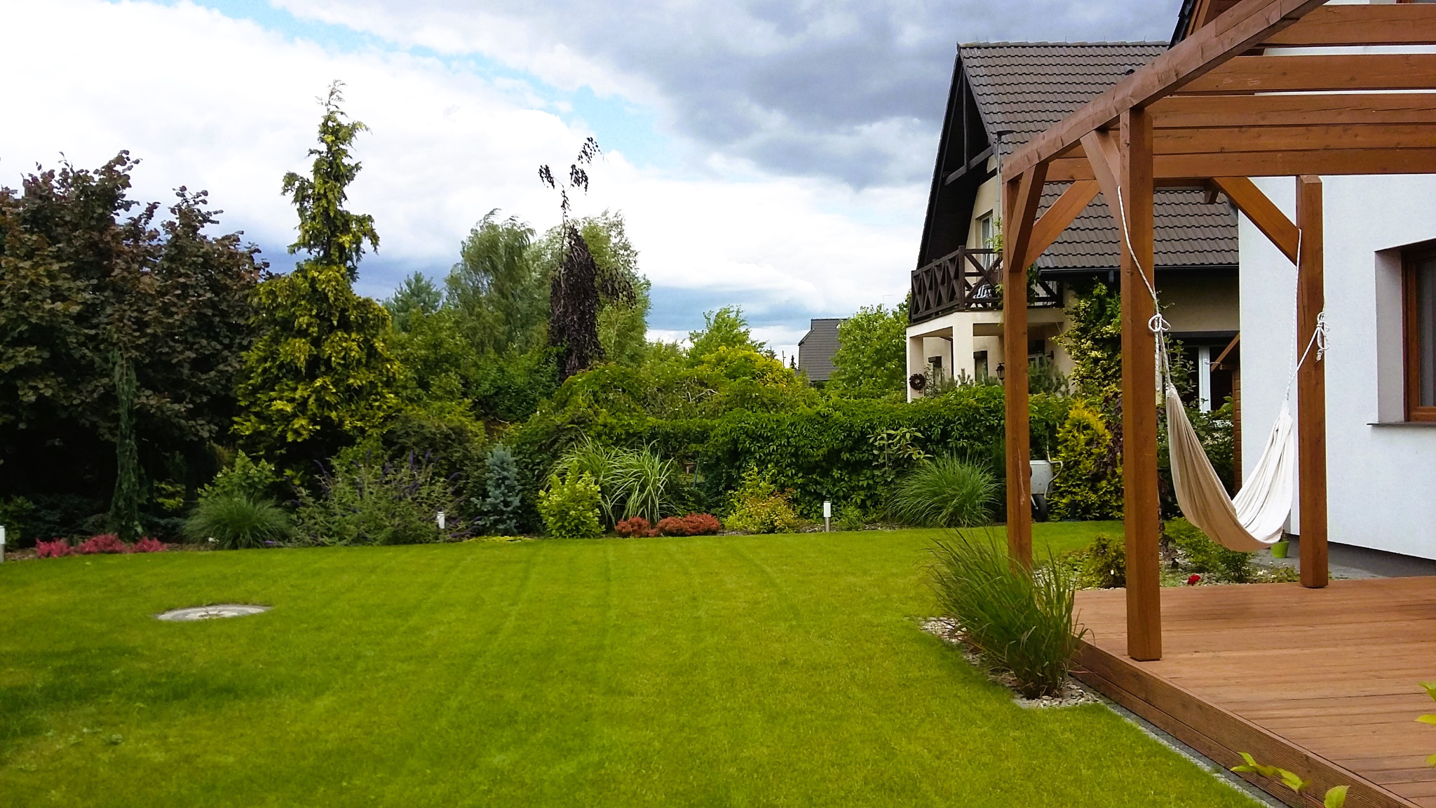 Trawy ozdobne w ogrodzie