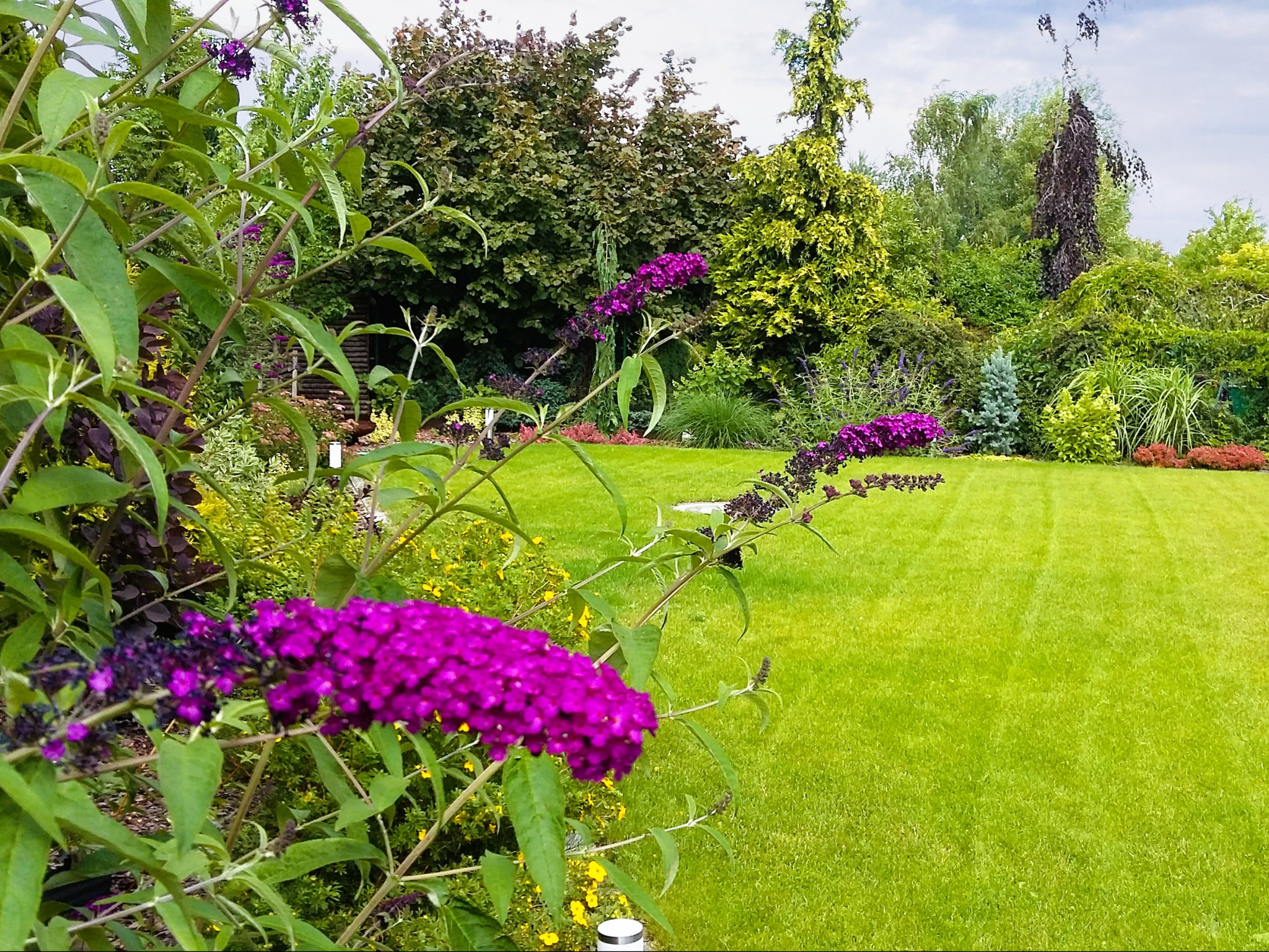 Zadbany trawnik pięknym dopełnieniem kolorowej rabaty roślinnej