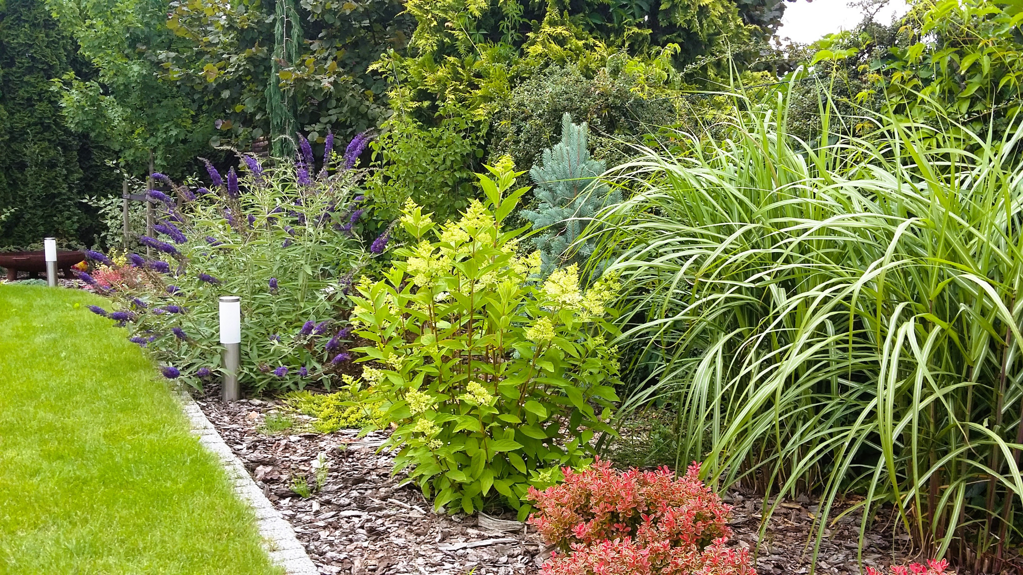 Rabata roślinna z kwitnącymi krzewami