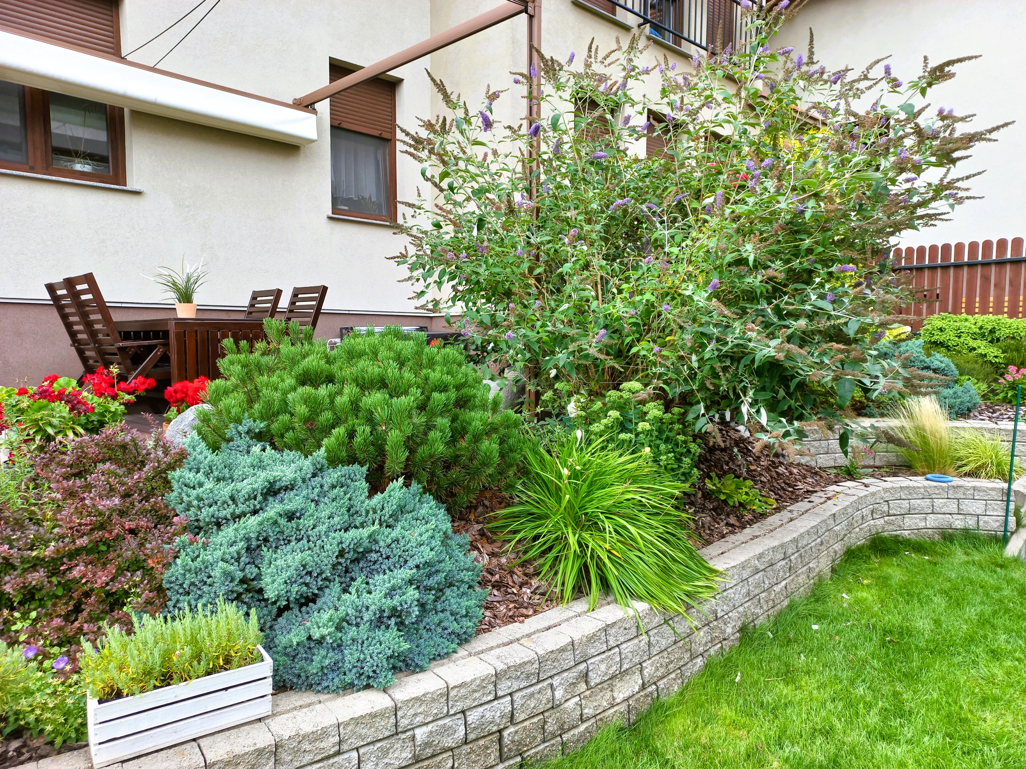 Taras wśród kolorowych roślin