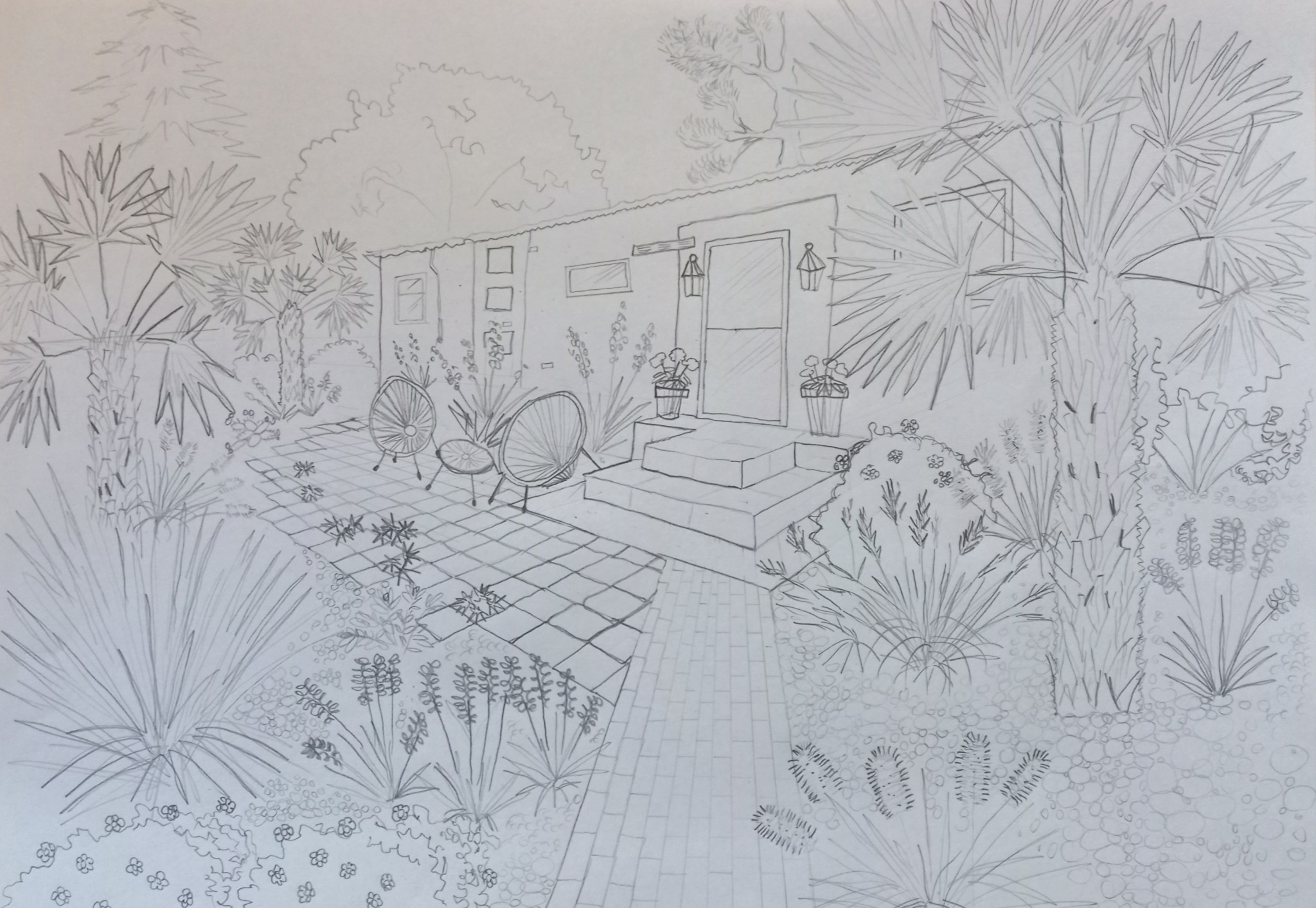 Szorstkowiec fortunego wprowadza egzotyczny charakter do ogrodu.