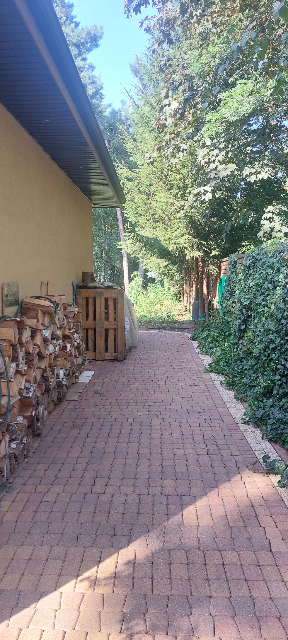 Czerwona kostka brukowa na podwórku, stos drewna przy ścianie budynku, drewniana paleta i zieleń w tle.