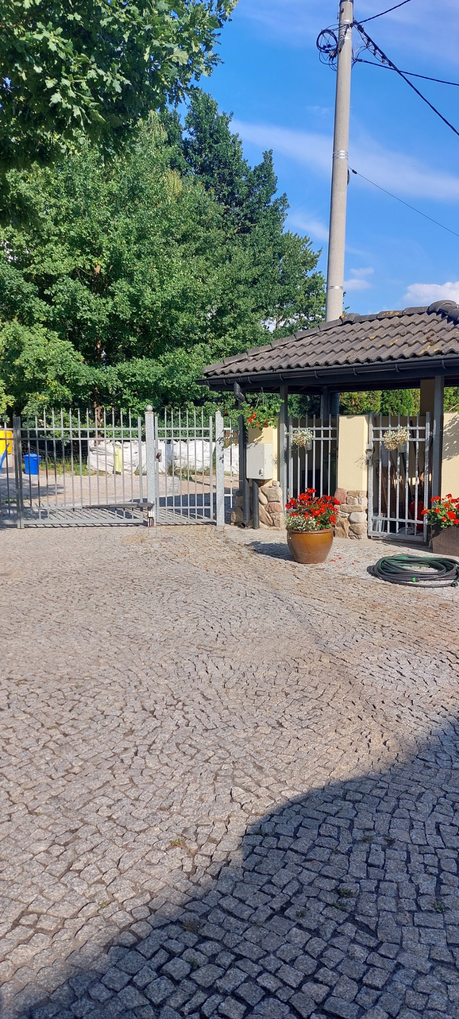 Podjazd wyłożony kostką brukową z metalową bramą w tle, ozdobiony donicami z czerwonymi kwiatami i zielonym wężem ogrodowym.