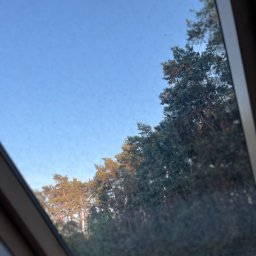 Do Ładu - Widok z okna dachowego na las iglasty i błękitne niebo w słoneczny dzień.