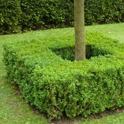 Garden Boys - Urządzanie Ogrod&oacute;w Szczecin