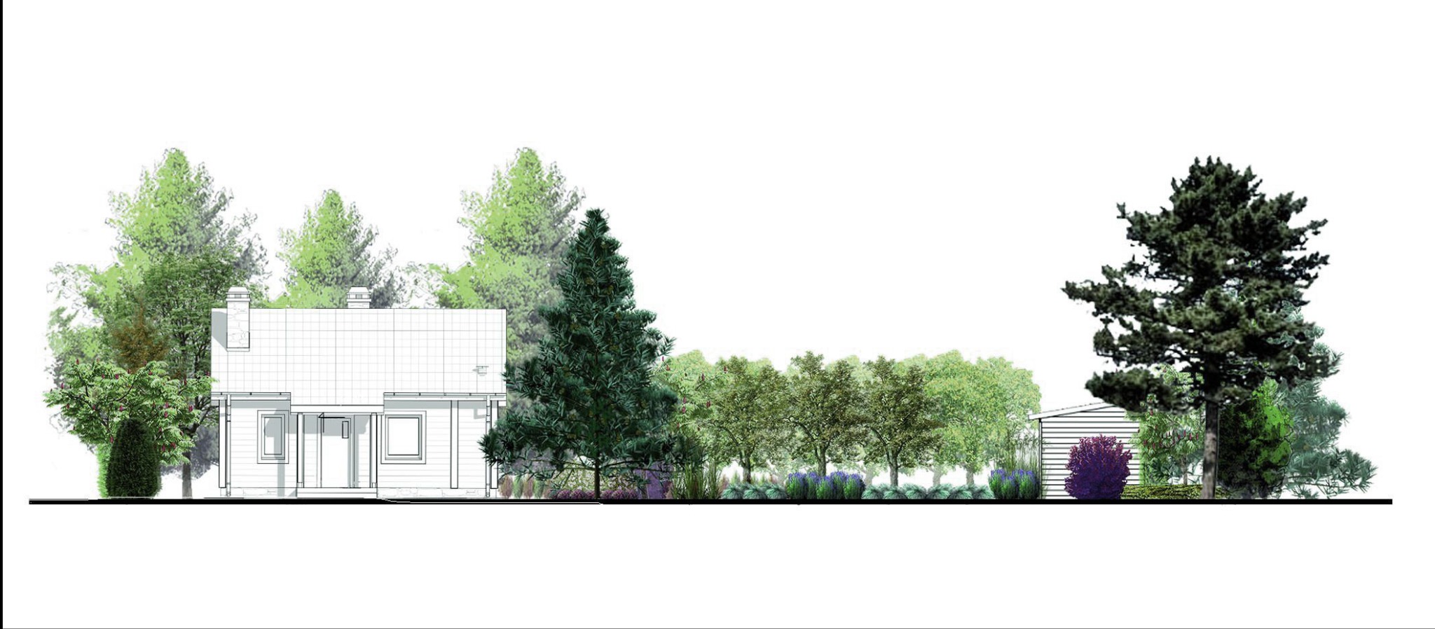 Przekrój poprzeczny projektu domu z ogrodem, wizualizacja z naniesioną siatką pomocniczą, ukazująca rozmieszczenie roślinności i bryły budynku.