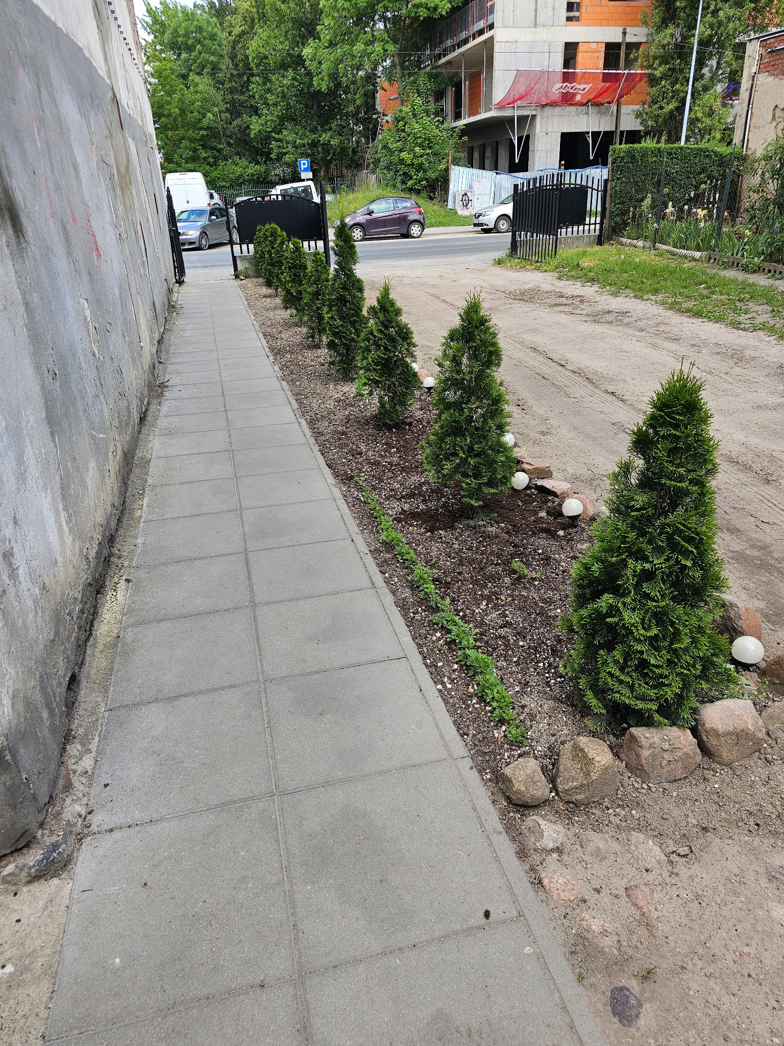 Świeżo posadzone, małe tuje wzdłuż chodnika, oddzielone od niego rabatą z ziemią i kamieniami, z dekoracyjnymi, białymi kulami oświetleniowymi, w tle ulica i budynek w budowie.