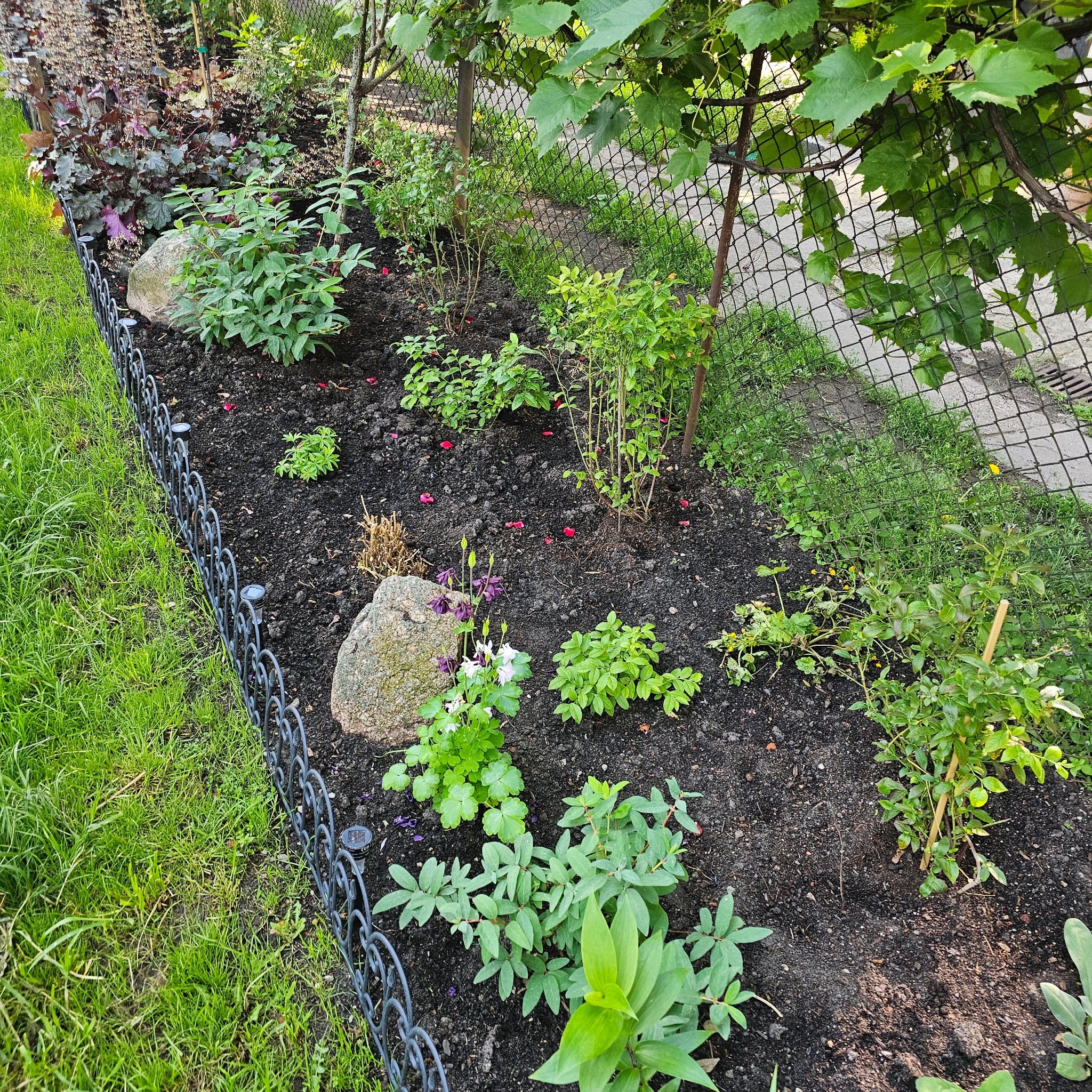 Rabata z młodymi roślinami, obrzeżem z metalowych płotków i kamieniami dekoracyjnymi, widok z góry.