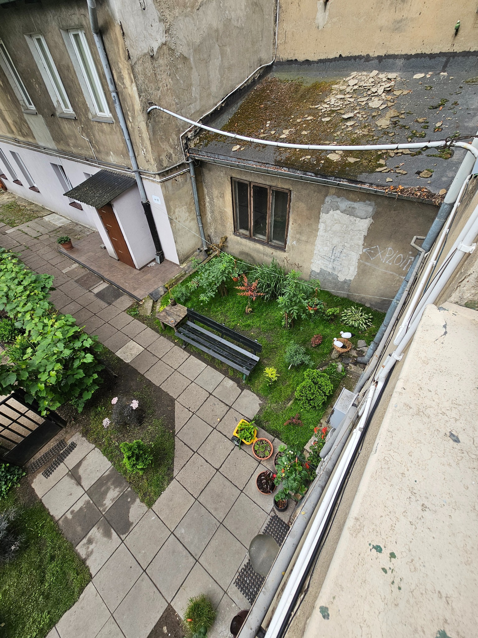 Widok z góry na zaniedbany ogródek przydomowy z ławką, roślinami w doniczkach, elementami dekoracyjnymi i popękanym chodnikiem w otoczeniu starych budynków.