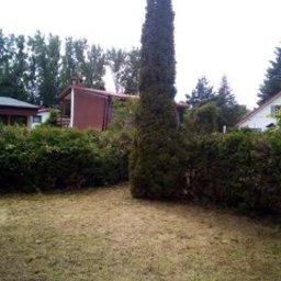 ROM-BRUK Usługi Brukarskie i Budowlane Gwóźdź Roman - Po koszeniu trawy: Widok na trawnik z niską trawą, żywopłot z przyciętymi krzewami i wysoki, smukły cyprys w ogrodzie, budynek w tle.