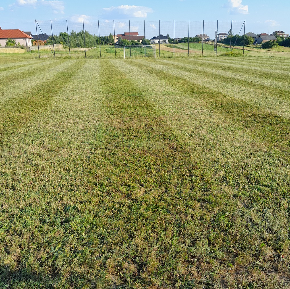 Zapewniamy regularne koszenie i pielęgnację terenów zielonych, aby utrzymać ich porządek i estetykę przez cały rok.