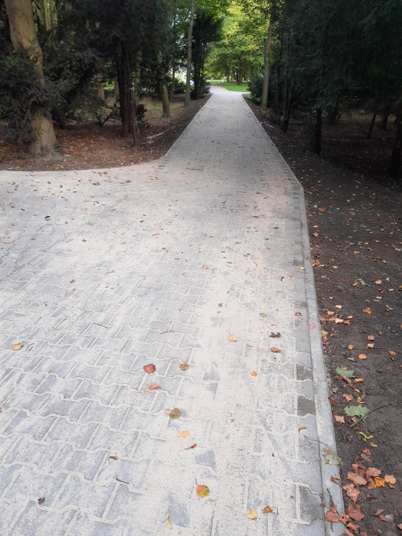 Długa, prosta ścieżka z jasnoszarej kostki brukowej prowadząca przez park z drzewami po obu stronach, pokryta opadłymi liśćmi.