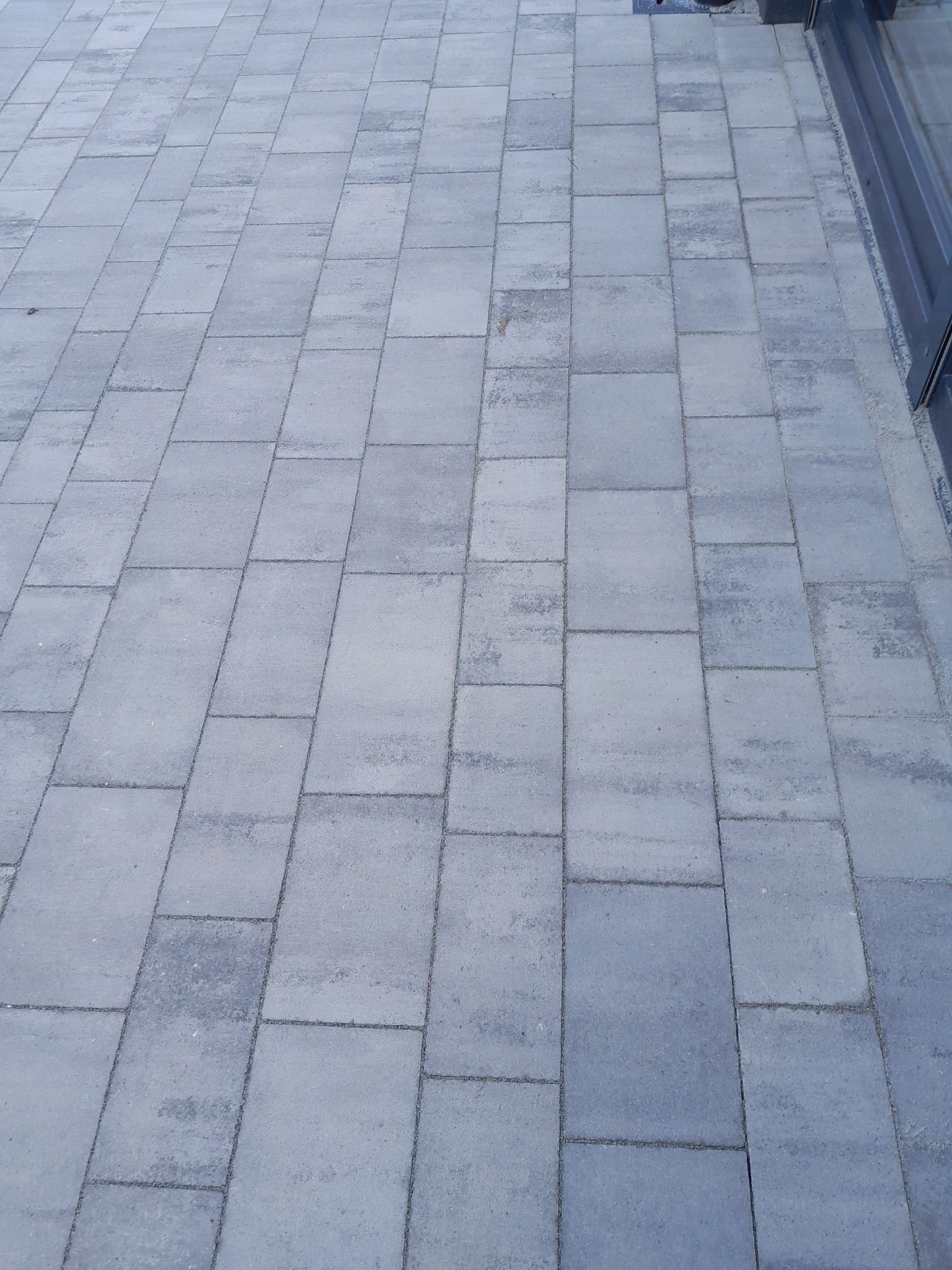 Świeżo ułożona, szara kostka brukowa prostokątna tworząca chodnik przed budynkiem z widocznymi przeszkleniami.