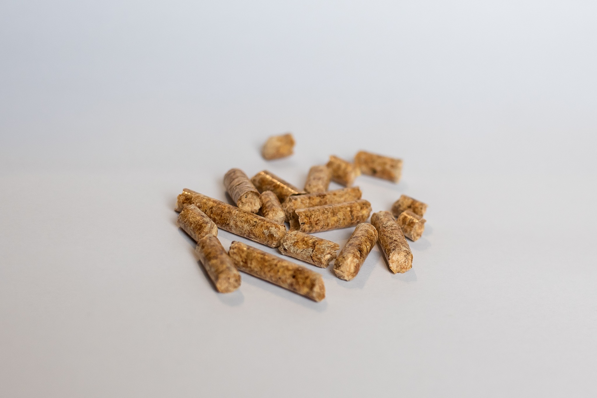 Jasnobrązowe granulki pelletu drzewnego ułożone na gładkiej, jednolitej powierzchni w neutralnym odcieniu szarości, z widoczną strukturą włókien drewna i drobnymi pęknięciami na niektórych elementach.