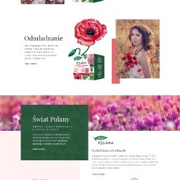 NUORDER SPÓŁKA Z OGRANICZONĄ ODPOWIEDZIALNOŚCIĄ - Strona internetowa marki Polana z naturalnymi kosmetykami i suplementami, prezentująca produkty nawilżające, rewitalizujące i odmładzające z motywami kwiatowymi.