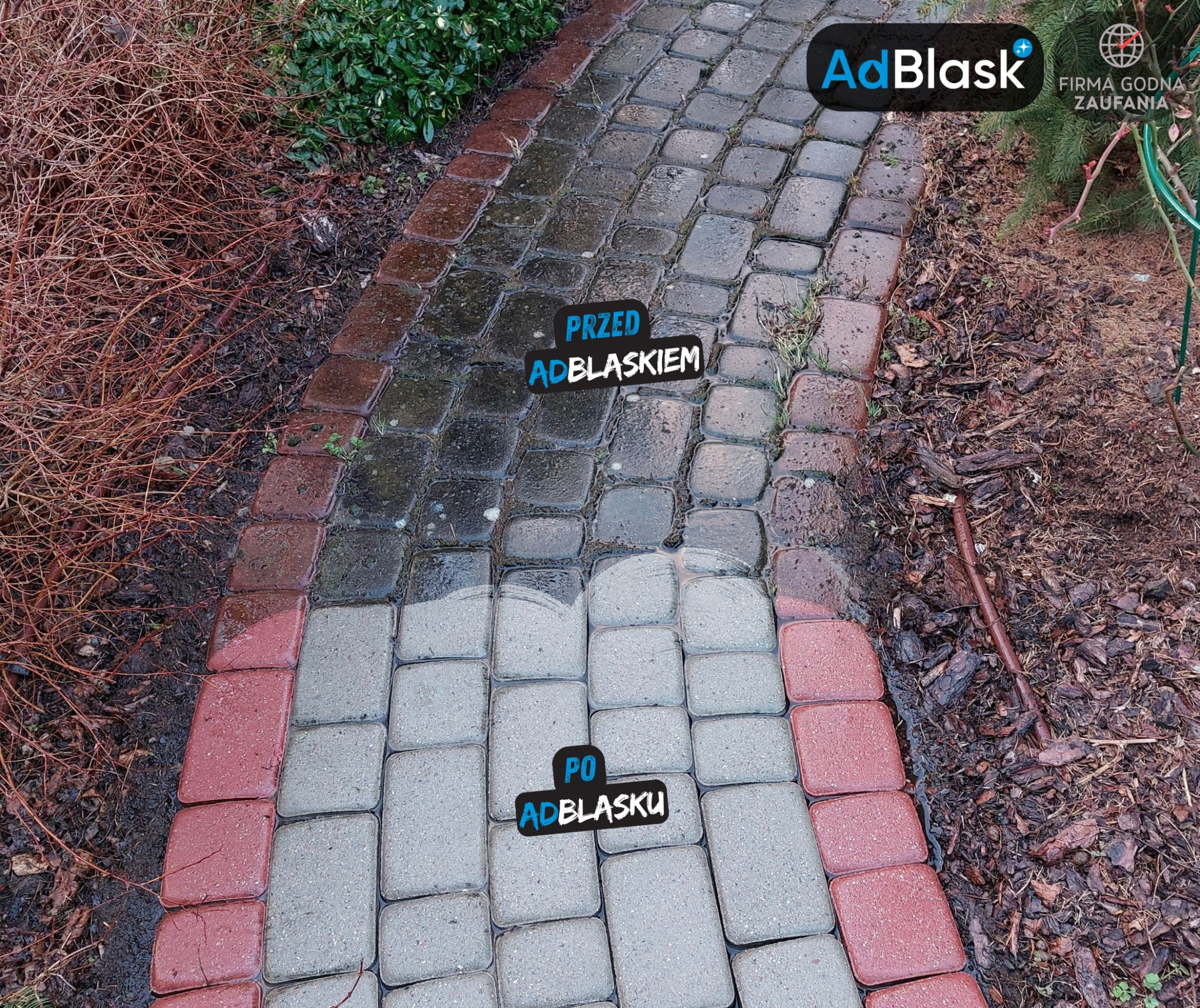 Częściowo wyczyszczona kostka brukowa z widoczną różnicą pomiędzy stanem przed i po czyszczeniu, obok rabata z krzewami.
