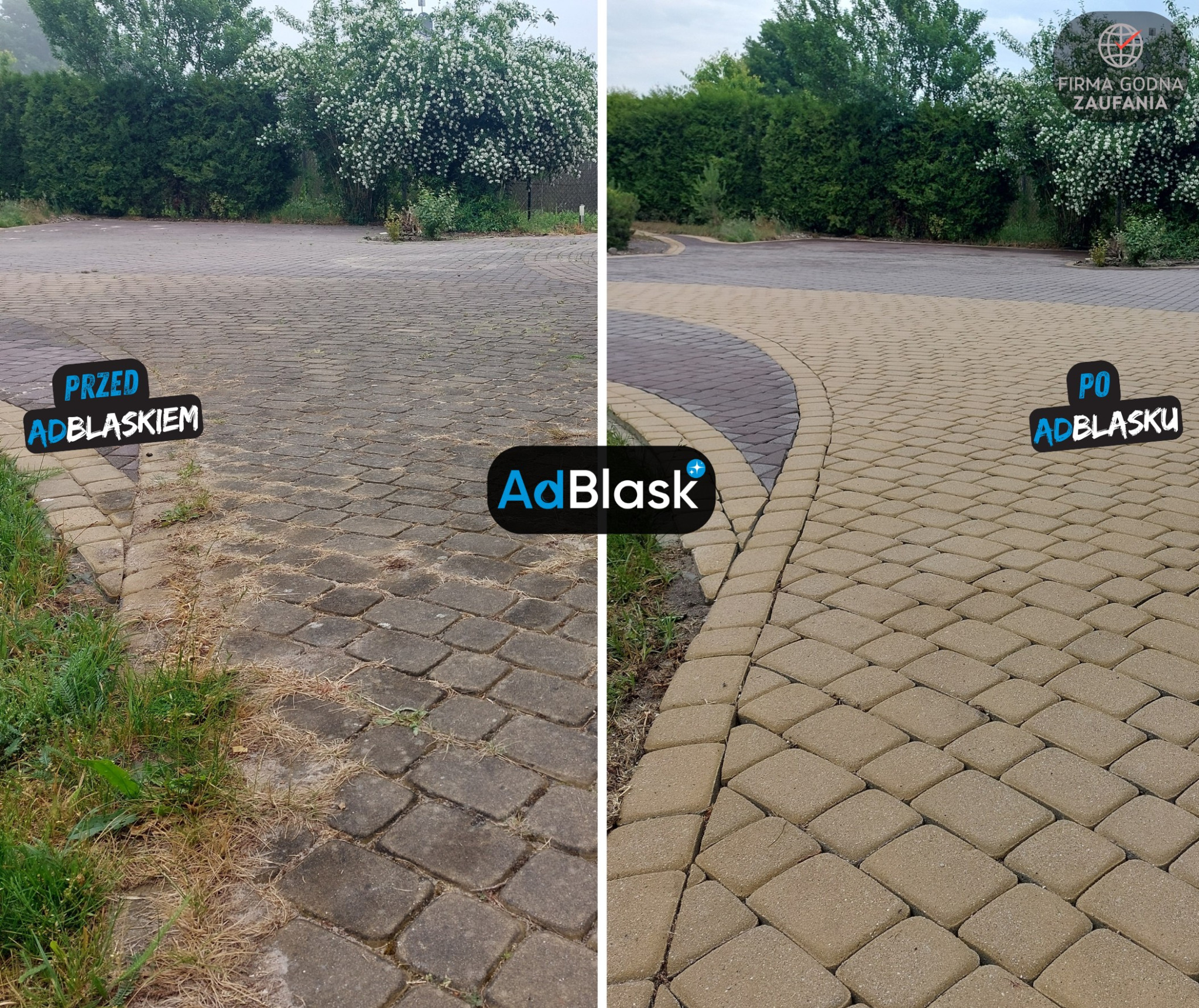 Porównanie kostki brukowej przed i po czyszczeniu, z widoczną różnicą w kolorze i usuniętych zabrudzeniach, trawa i roślinność w tle.