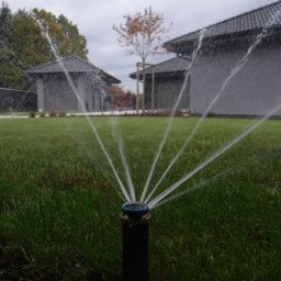 Zakładanie ogrodów Skawina 1