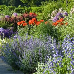 Zakładanie ogrodów Skawina 2