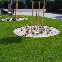 Zakładanie ogrodów Skawina 4